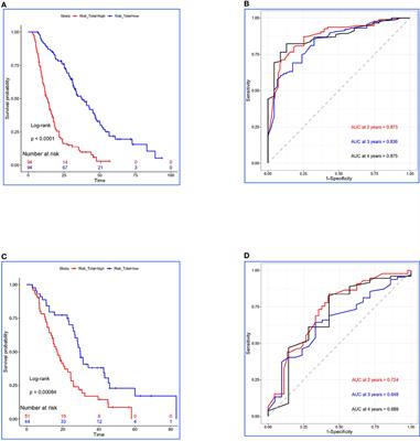 Risk Prediction Model for Synchronous Oligometastatic Non-Small Cell Lung Cancer: Thoracic Radiotherapy May Not Prolong Survival in High-Risk patients